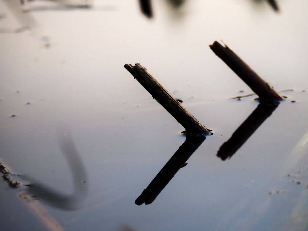 Направление...