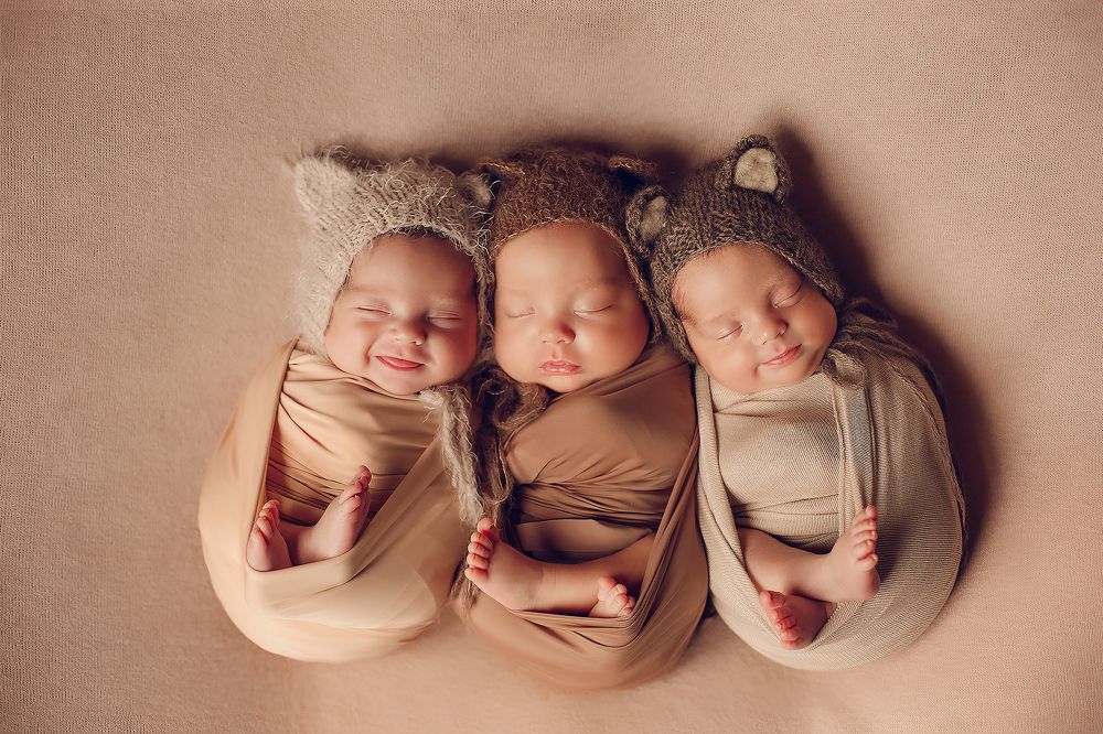 три котика)