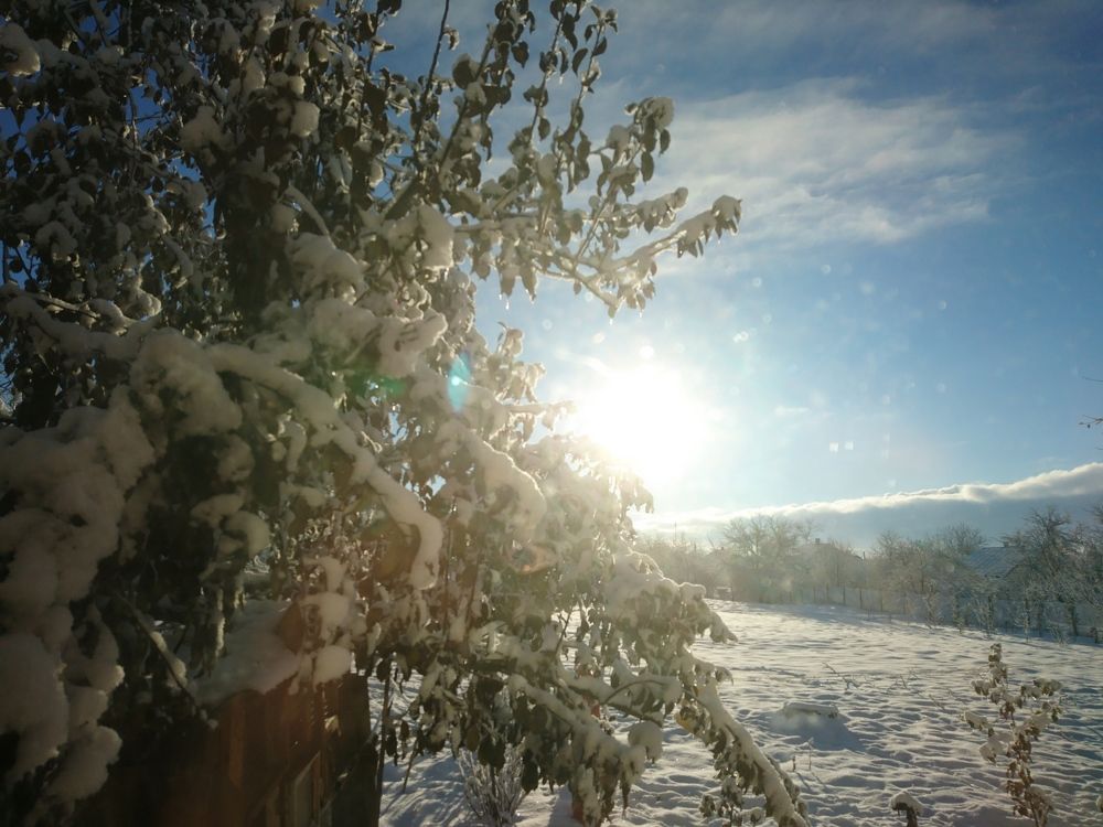 Ранок