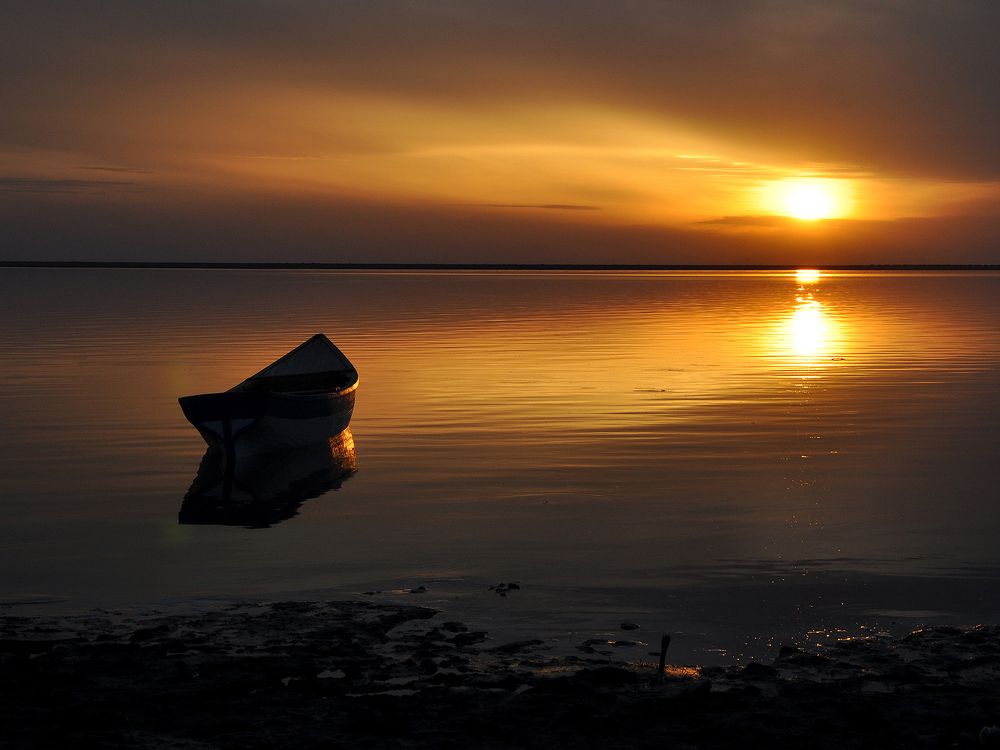 شتاء العراق