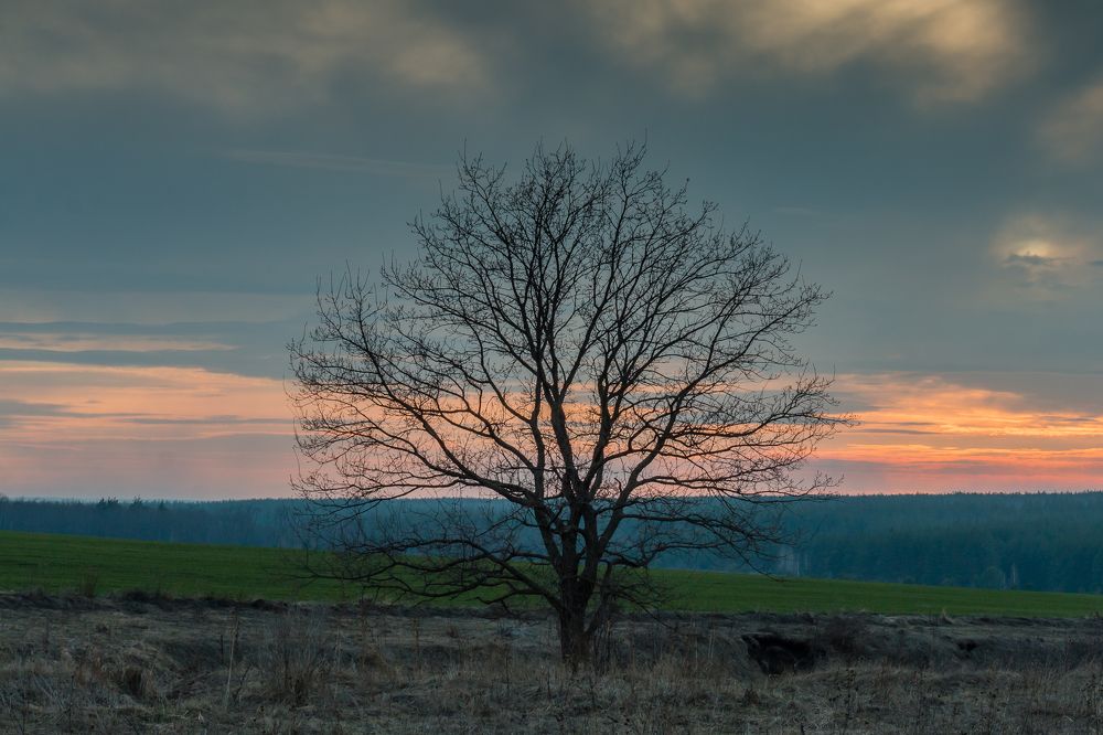 Photograph by Роман Дергунов