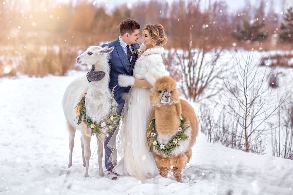 Photograph by Владимир Гордеев