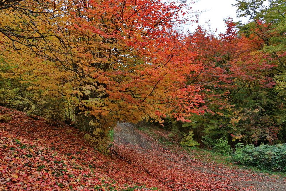 Осень в Талышских горах