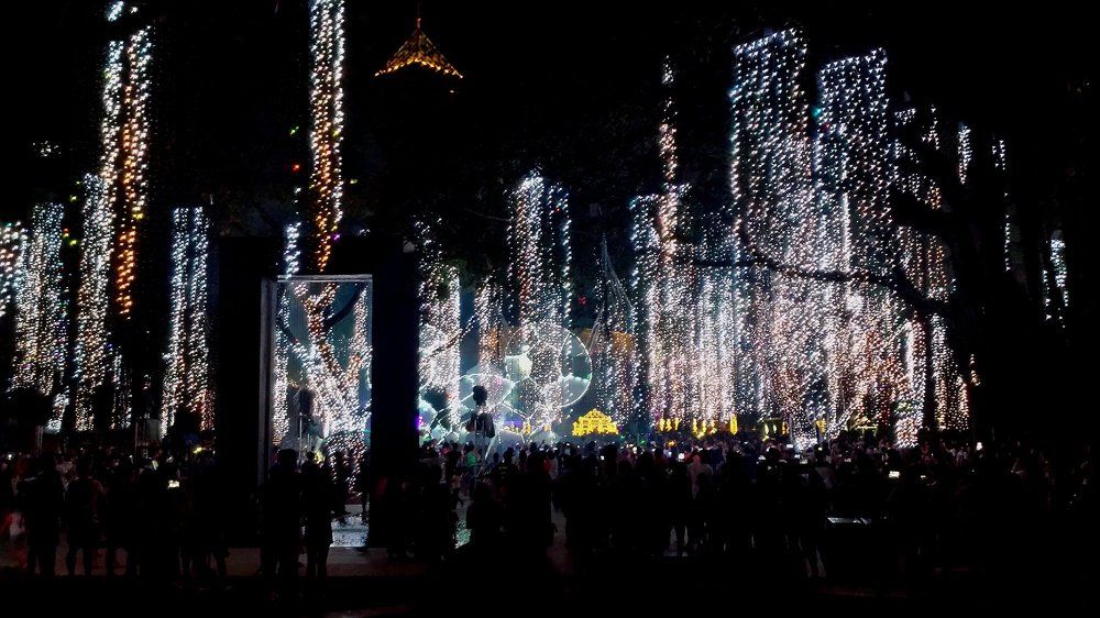 Christmas Lights at the Park