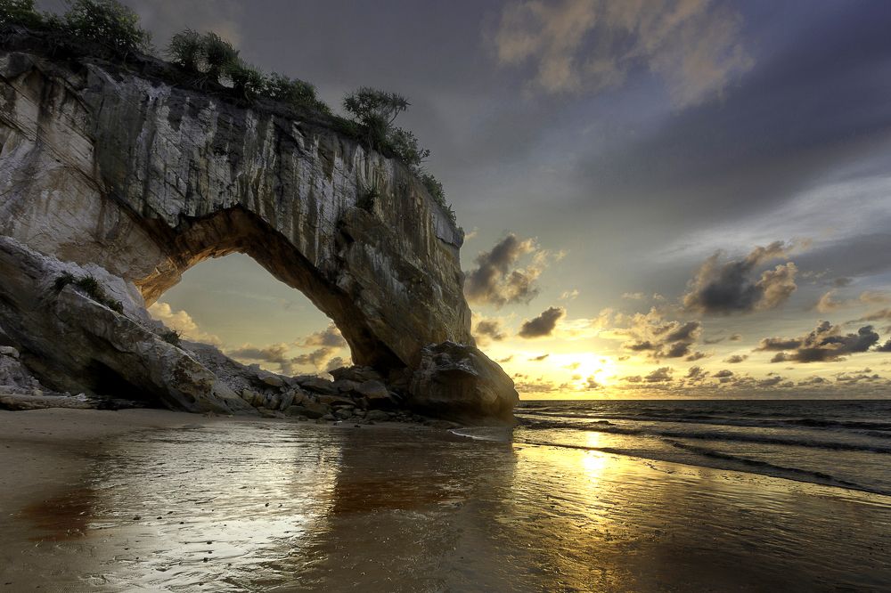 A Horse Drinking Sea Water