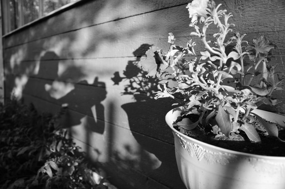 Юный натуралист