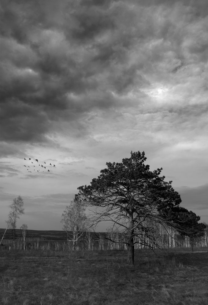 Смена сезонов