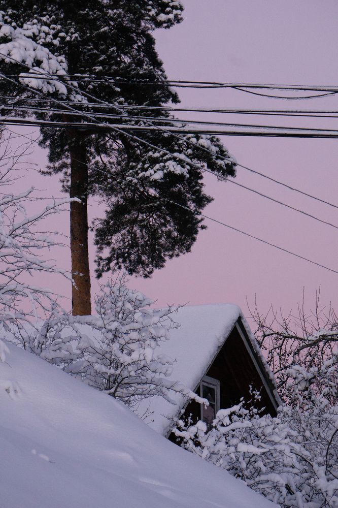 Photograph by Ника Кит