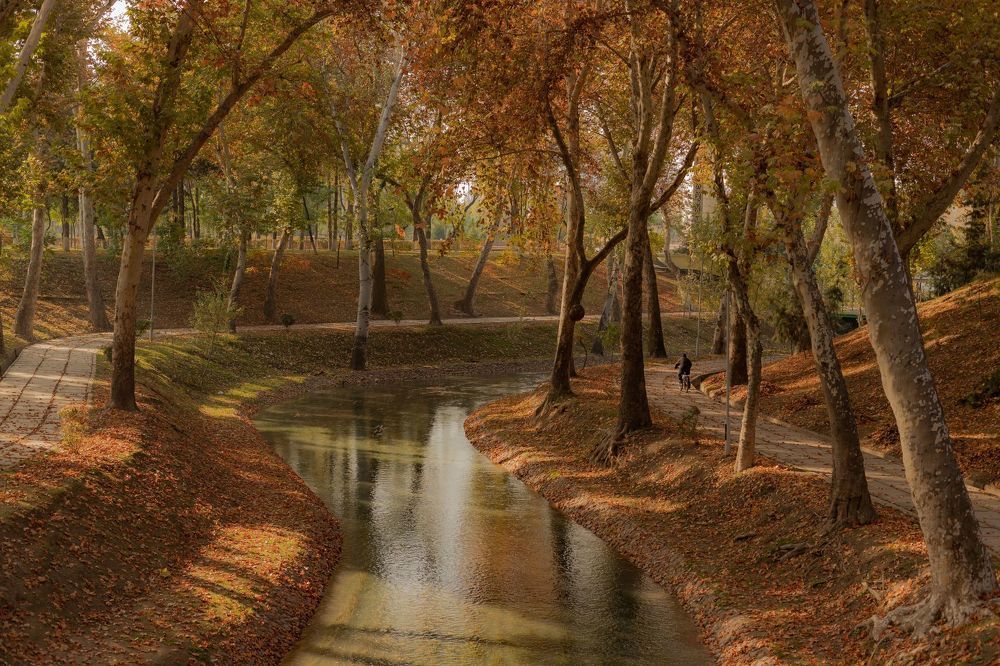 Осенний краски