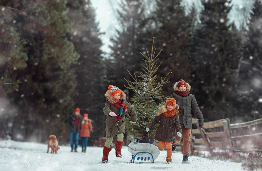 Скоро праздник!