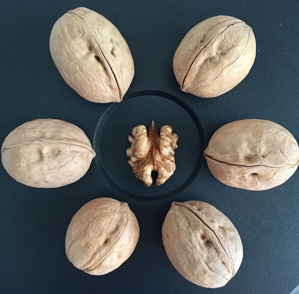 Photograph by Анар Амирова