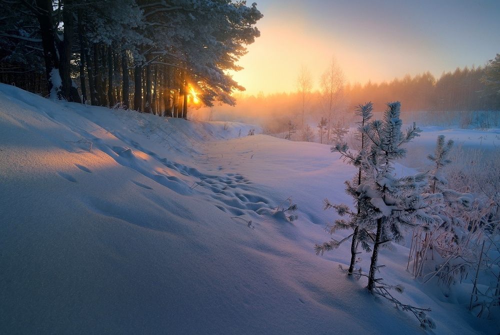 Укутанные снегом