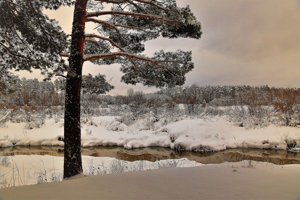 Зимние этюды