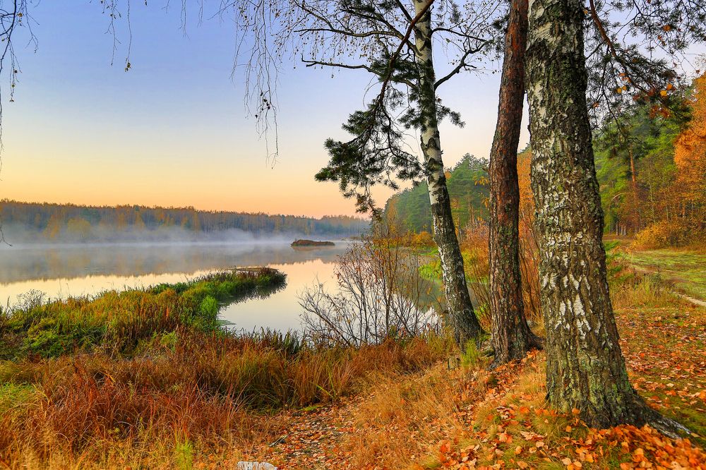 Осенние этюды