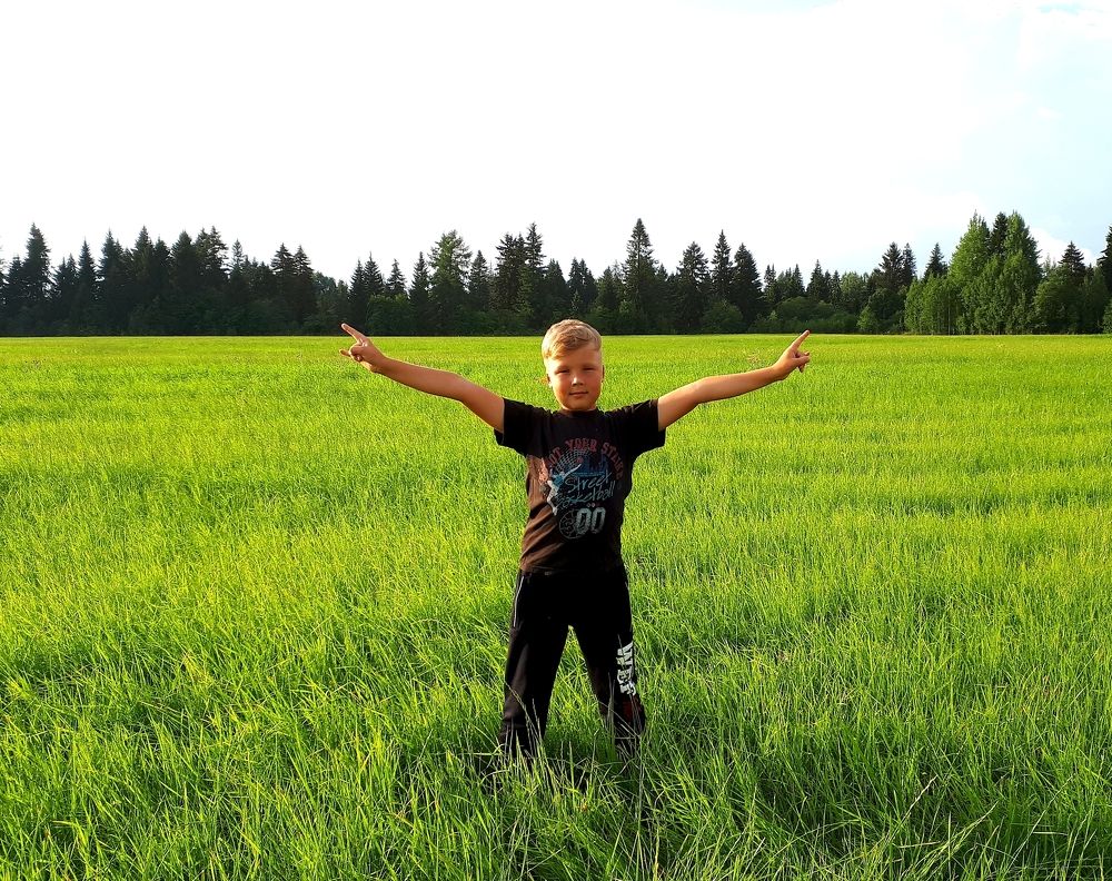 Летний денёк