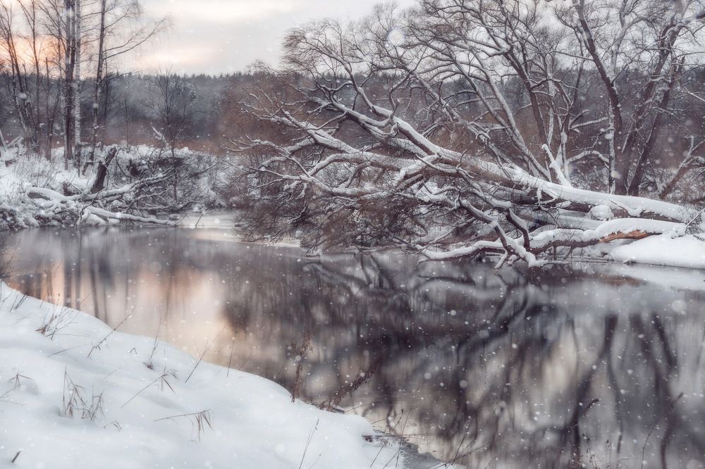 Photograph by Александр Смирнов