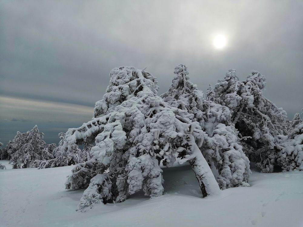На плато Ай-Петри.