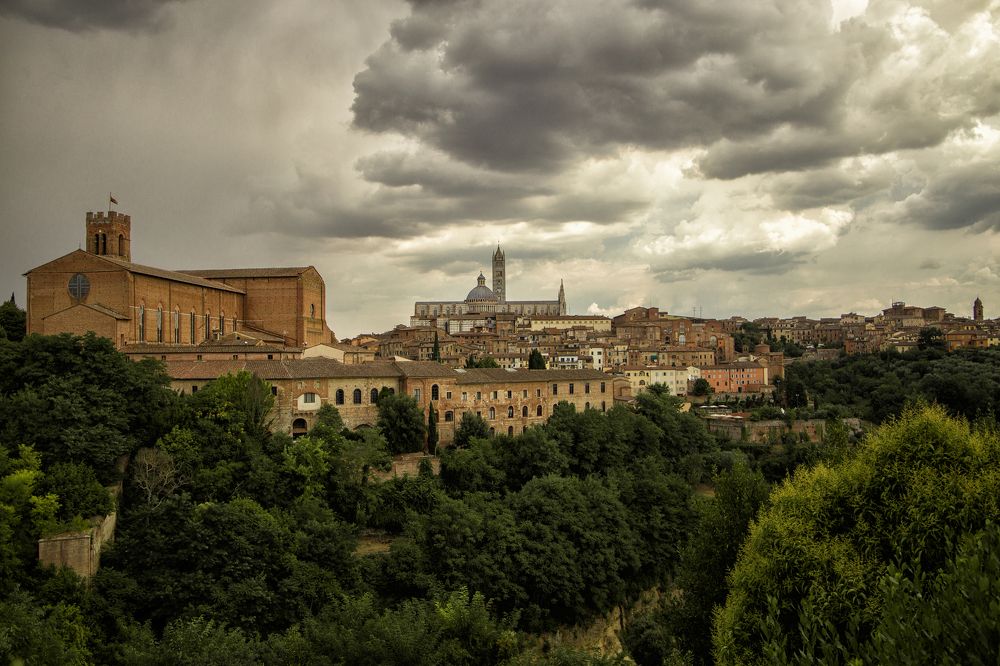 Photograph by Мария Трещева