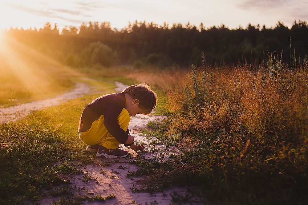 волшебный свет