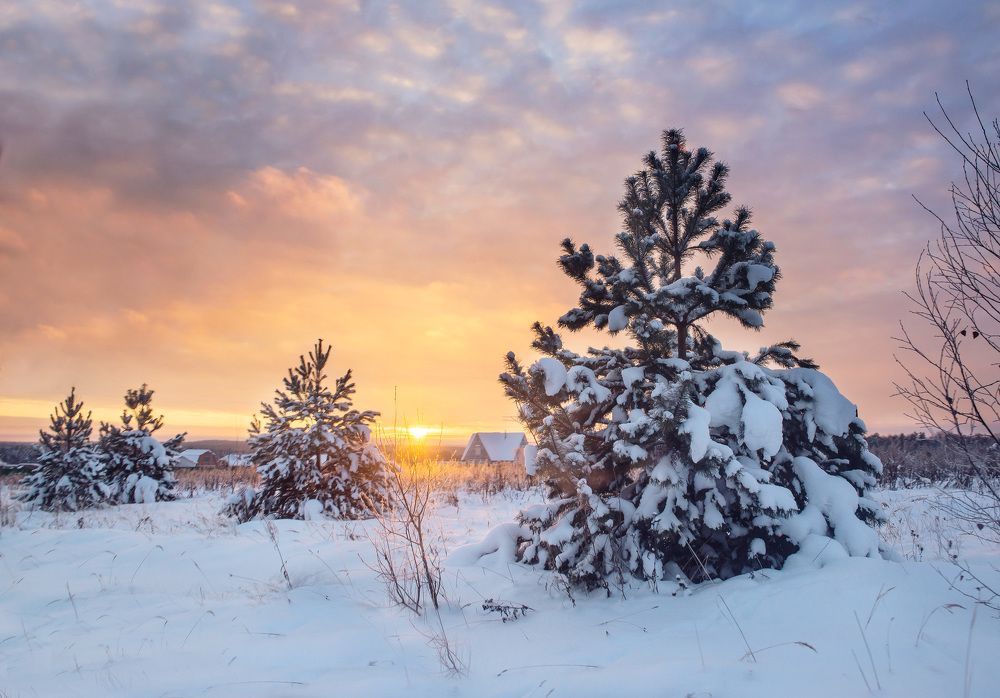 Зимние краски