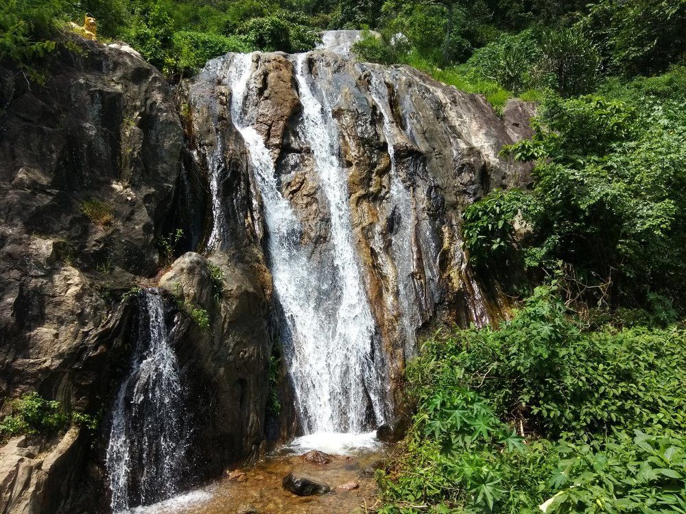 Nature