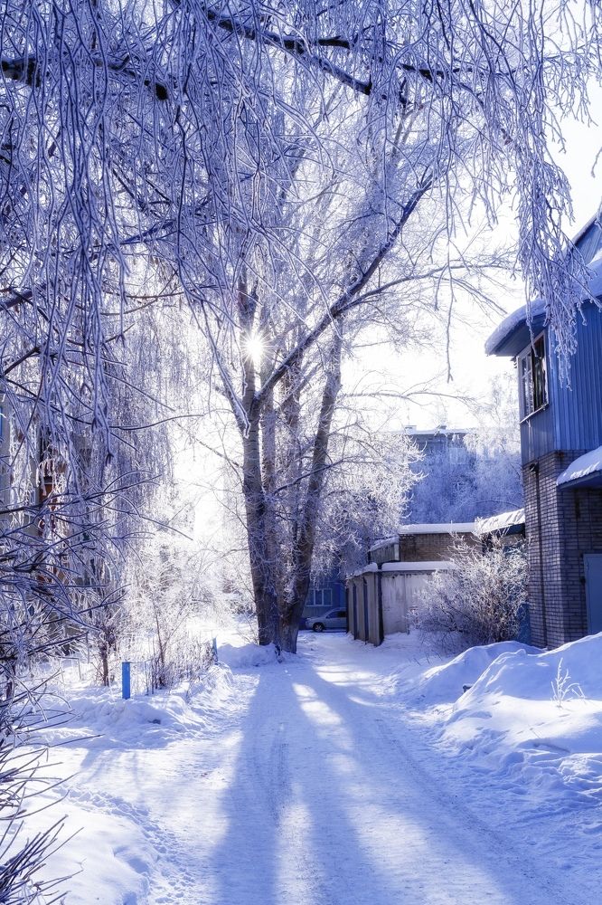 Морозное Рождественское утро