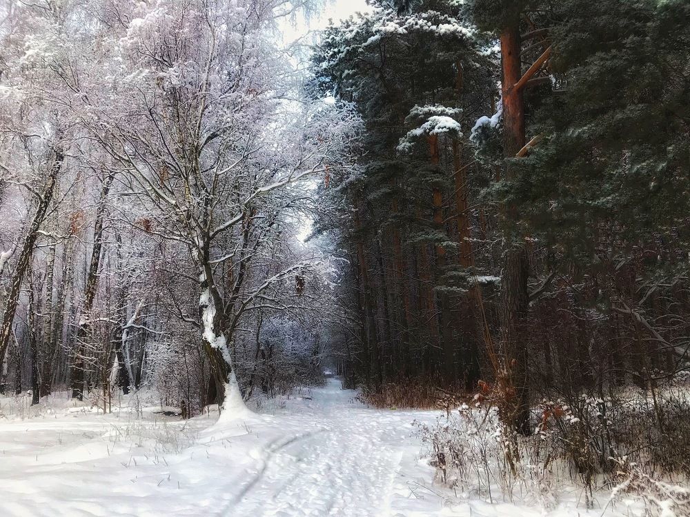 Противостояние