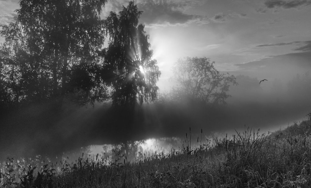 Летнее утро