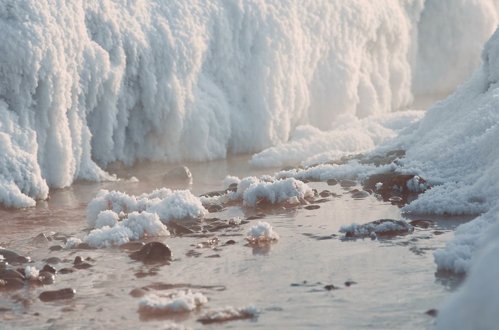 Photograph by Ольга Шибяева