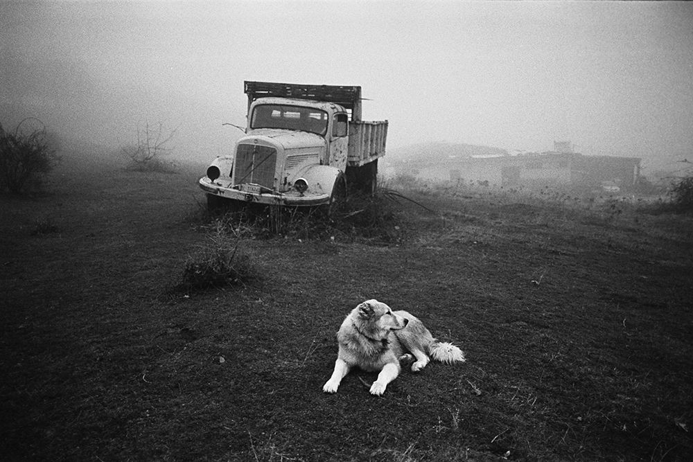 Photograph by Aris Kamarotos