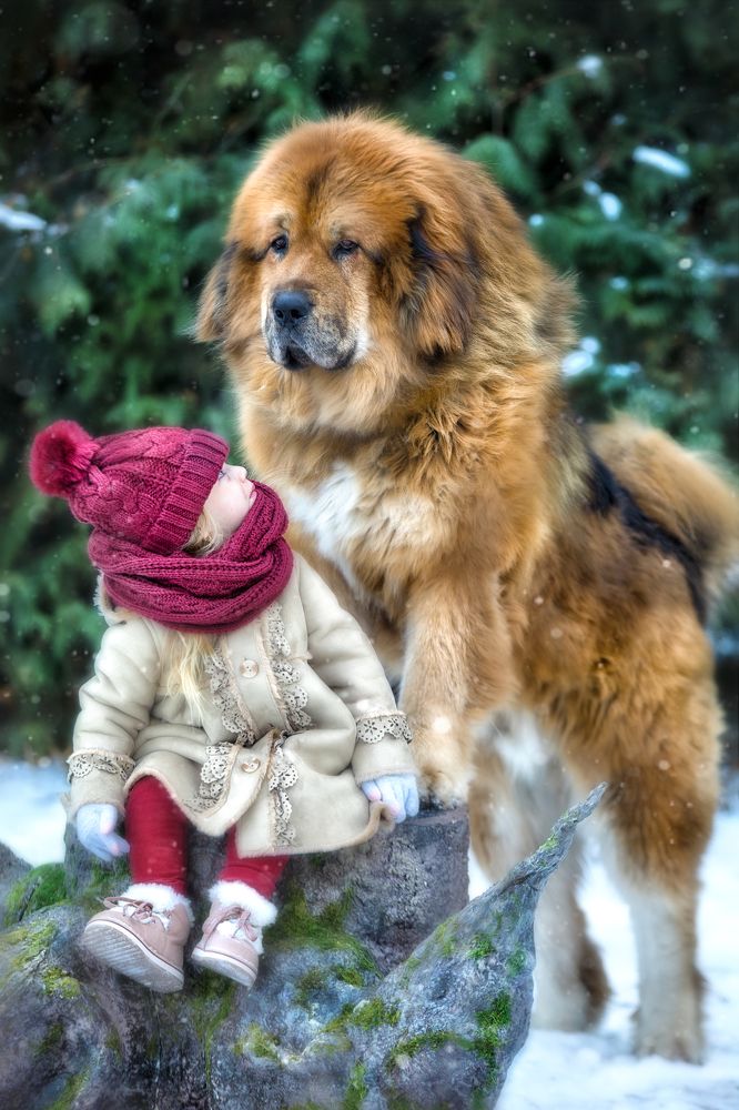 Photograph by Ольга Бондарчук