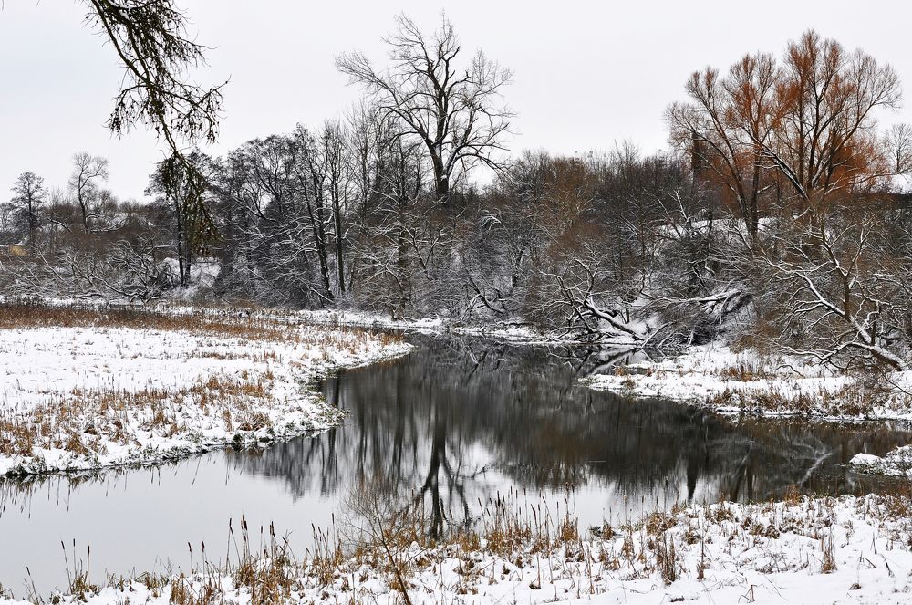 Оцепенение