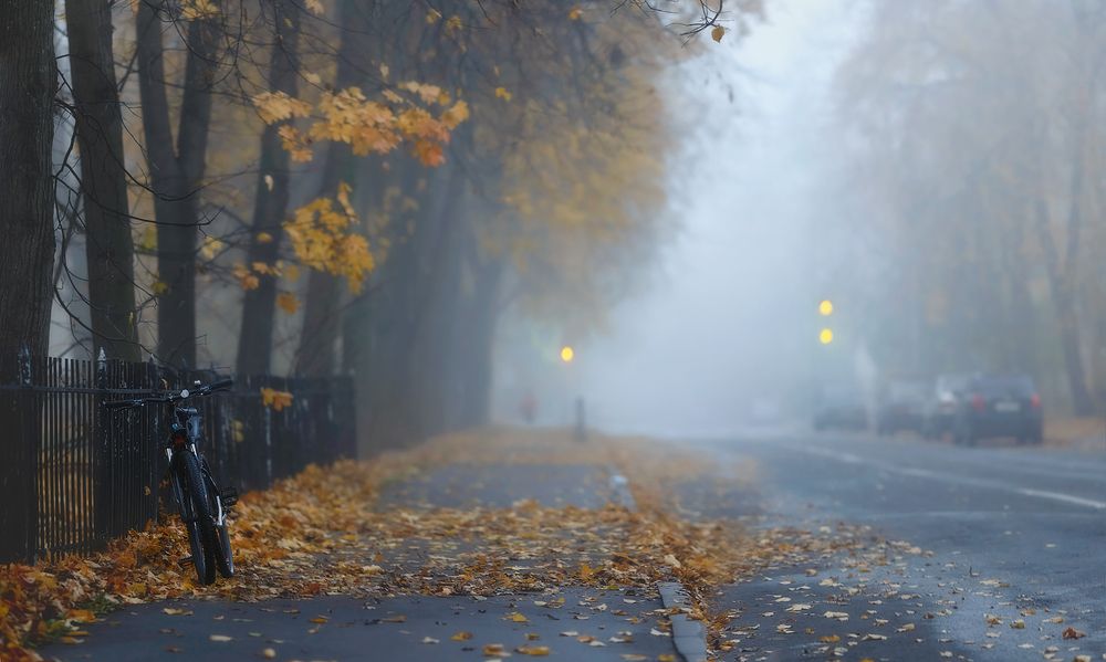 Carefully ... autumn