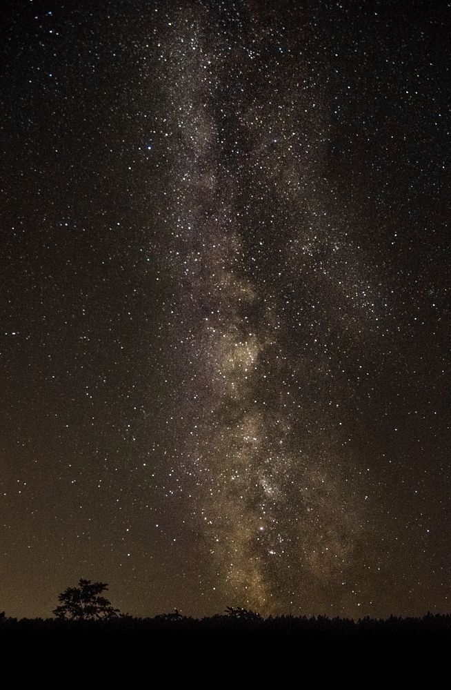 По следам из звёздных крошек...