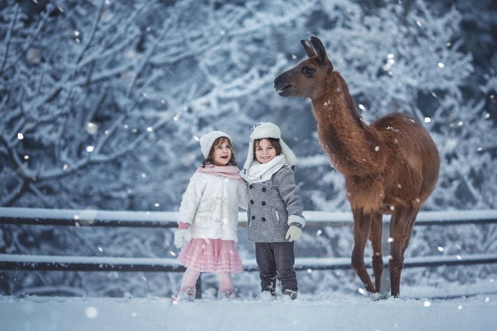 Photograph by Алина Мур