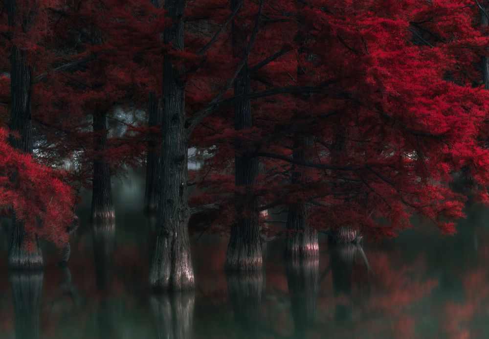 В блеске красной луны