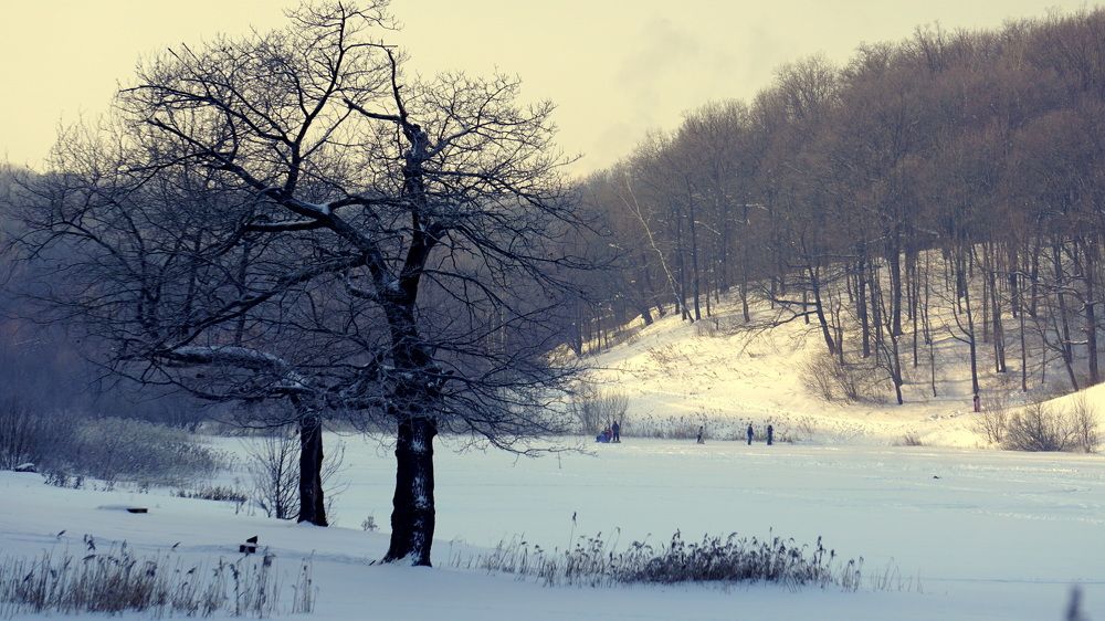 Photograph by Блюмина Елена