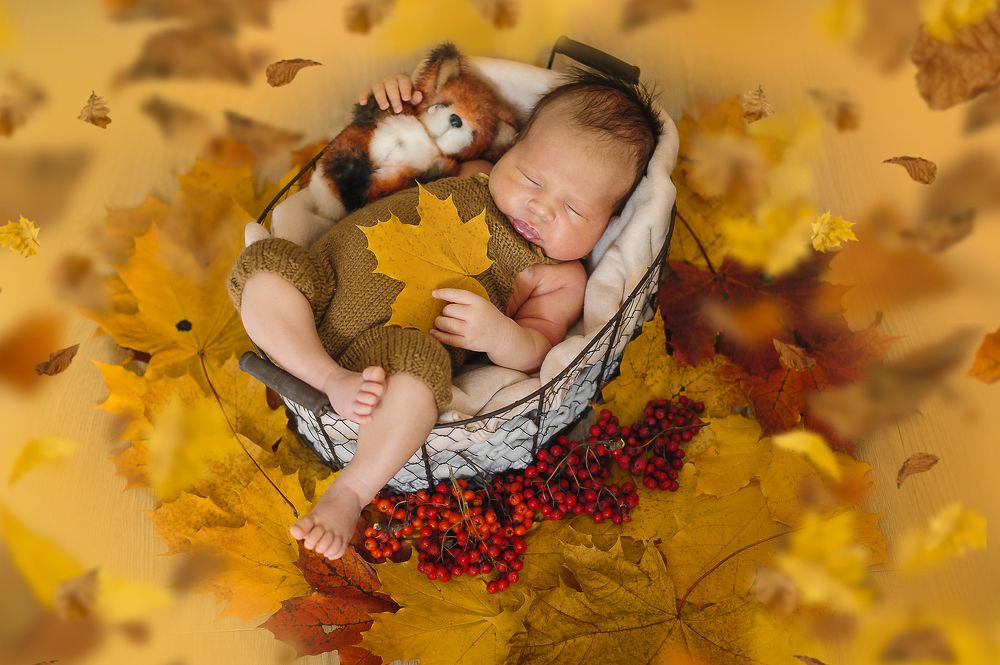 Photograph by Ксения Лысенкова