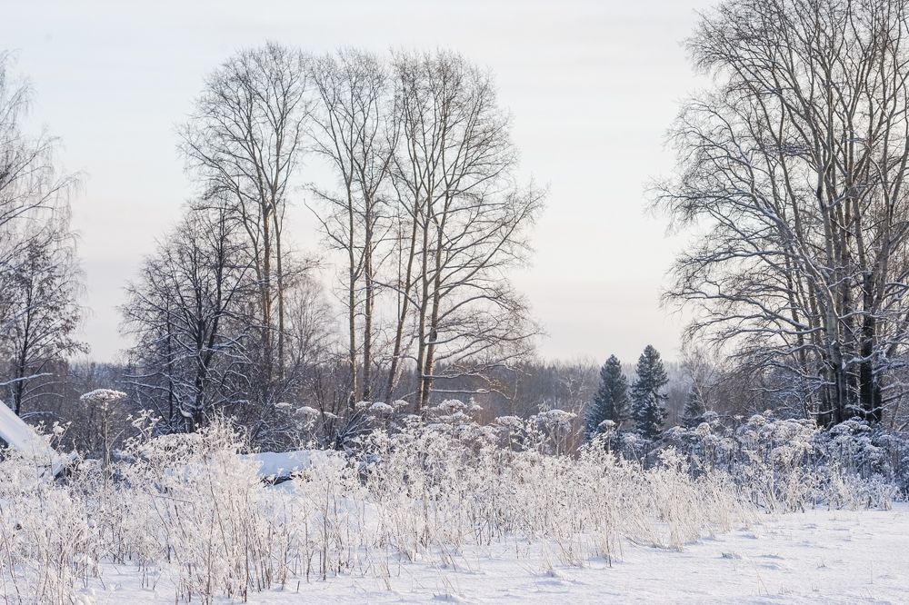 Подволок. Зима