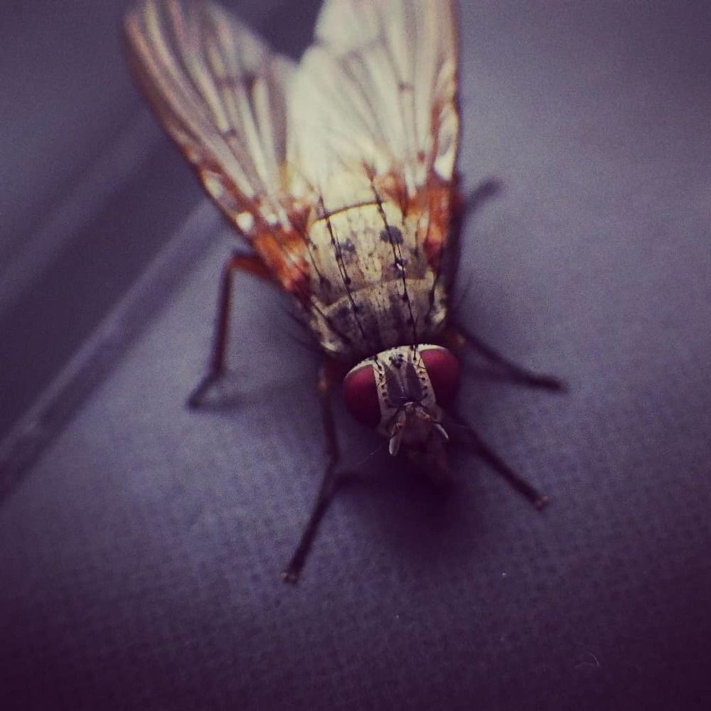 Фотография автора Vitalii Neborak