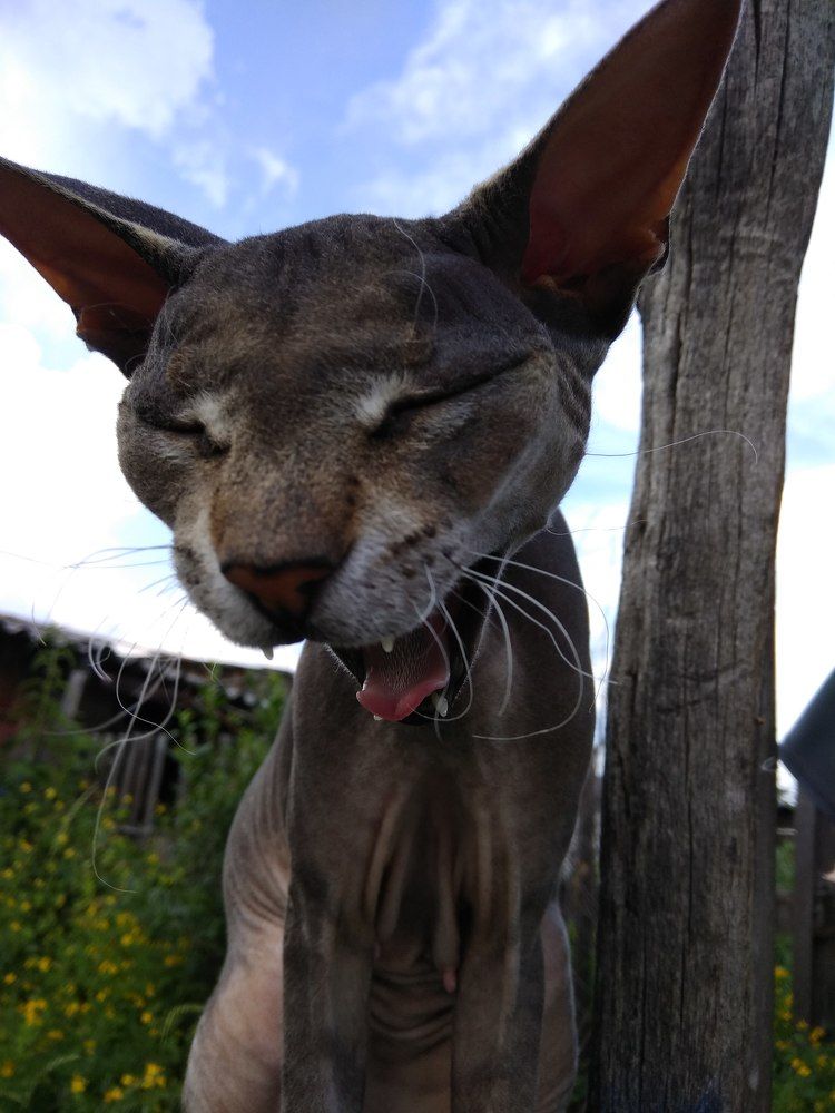 После суровой зимы