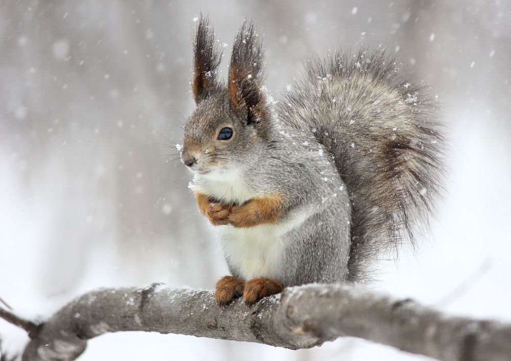 Photograph by Наталия Васильева