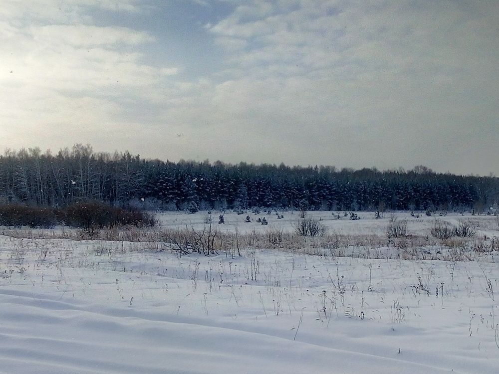 Photo #2842121