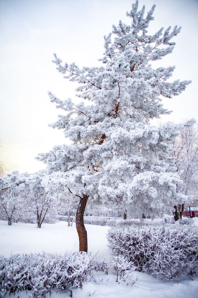 Photograph by Марина Комина