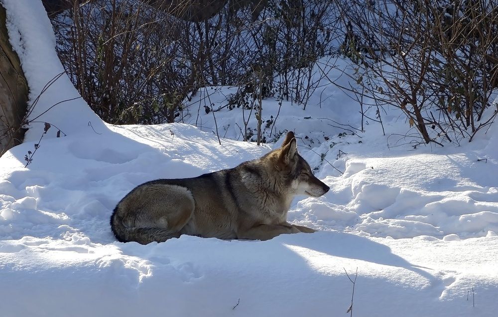 Фотография автора Валентина Гундарева