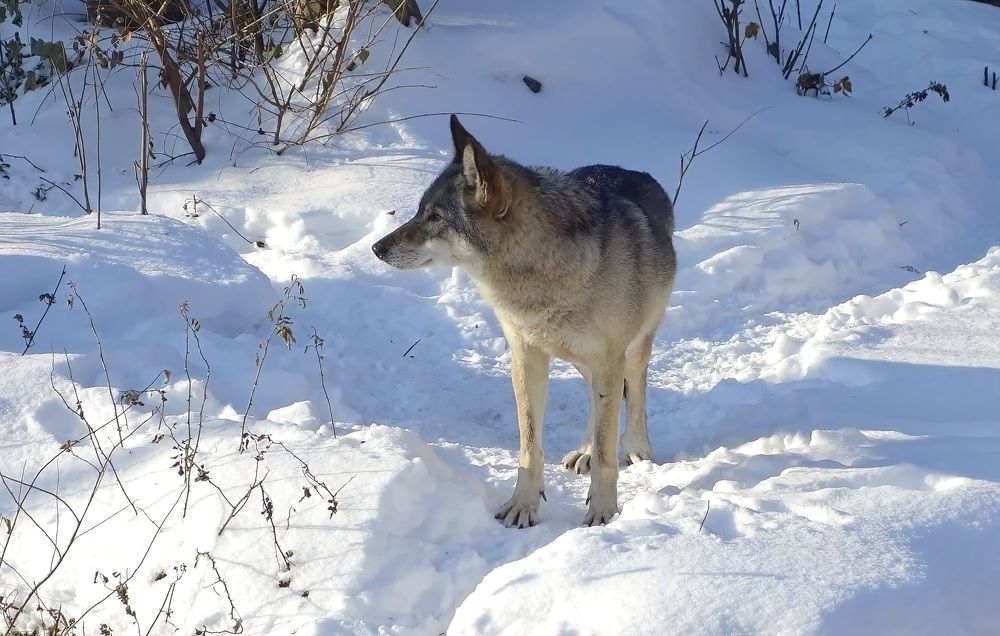 Фотография автора Валентина Гундарева