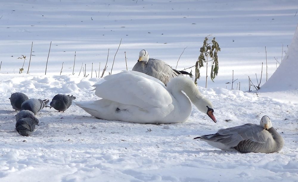 Фотография автора Валентина Гундарева