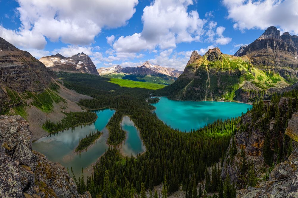 Lake Ohara at Yoho National Park