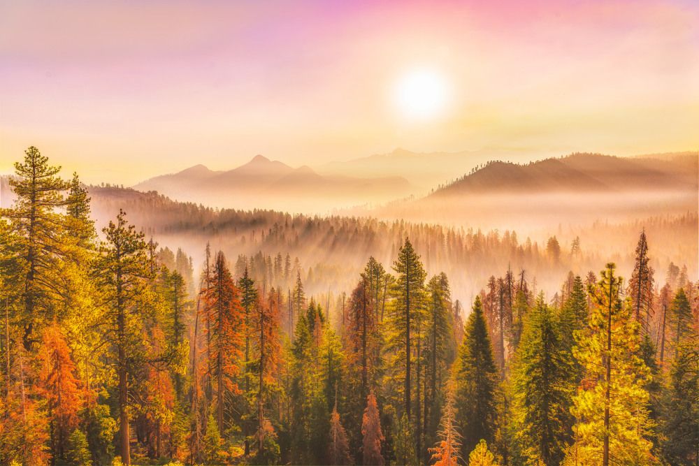 Golden Light over Yosemite National Park