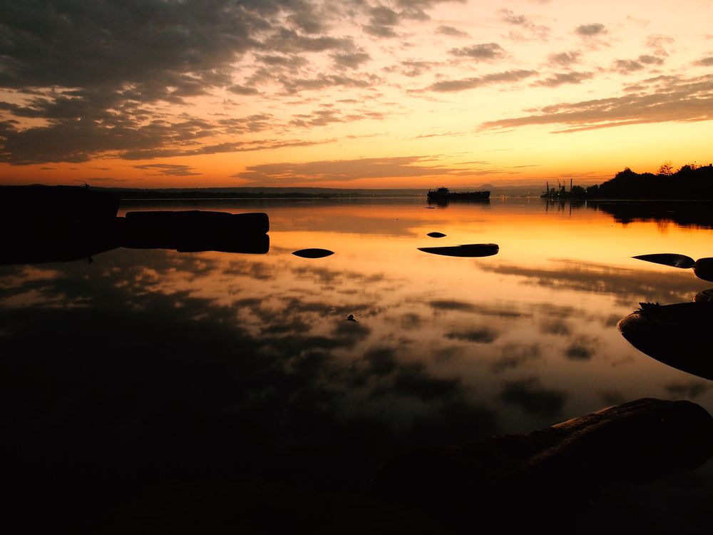 Danubian Silhouettes